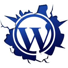 SEO analyst